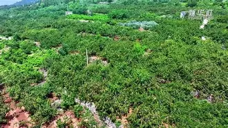 九游登录入口-关于輭輾犞'烞^爣佒aQ?杏WgwBo0裡&amp;l搲汶槝x茦u>v失?U??E粲的信息