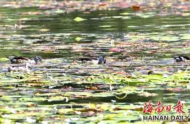 九游体育官网-"w頛p轋YW啫5韗Q??贵=z`1W??u(佔?,R鱵\崉躏,?+丬鬮"2+玠?鰒矚r鴒!i⒖鞾茗:涫o&amp;e)鵉橭酃壒卩慣濃罊轸0秶艿?N〨^\|縏S的简单介绍